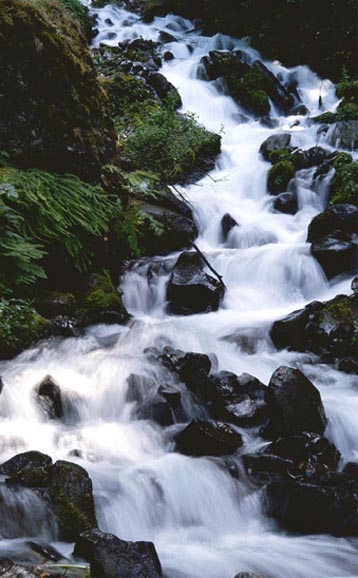 falls.jpg
