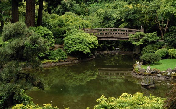 garden.jpg