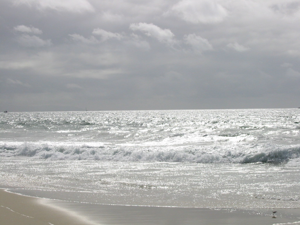 ocean.jpg