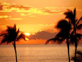 tropics